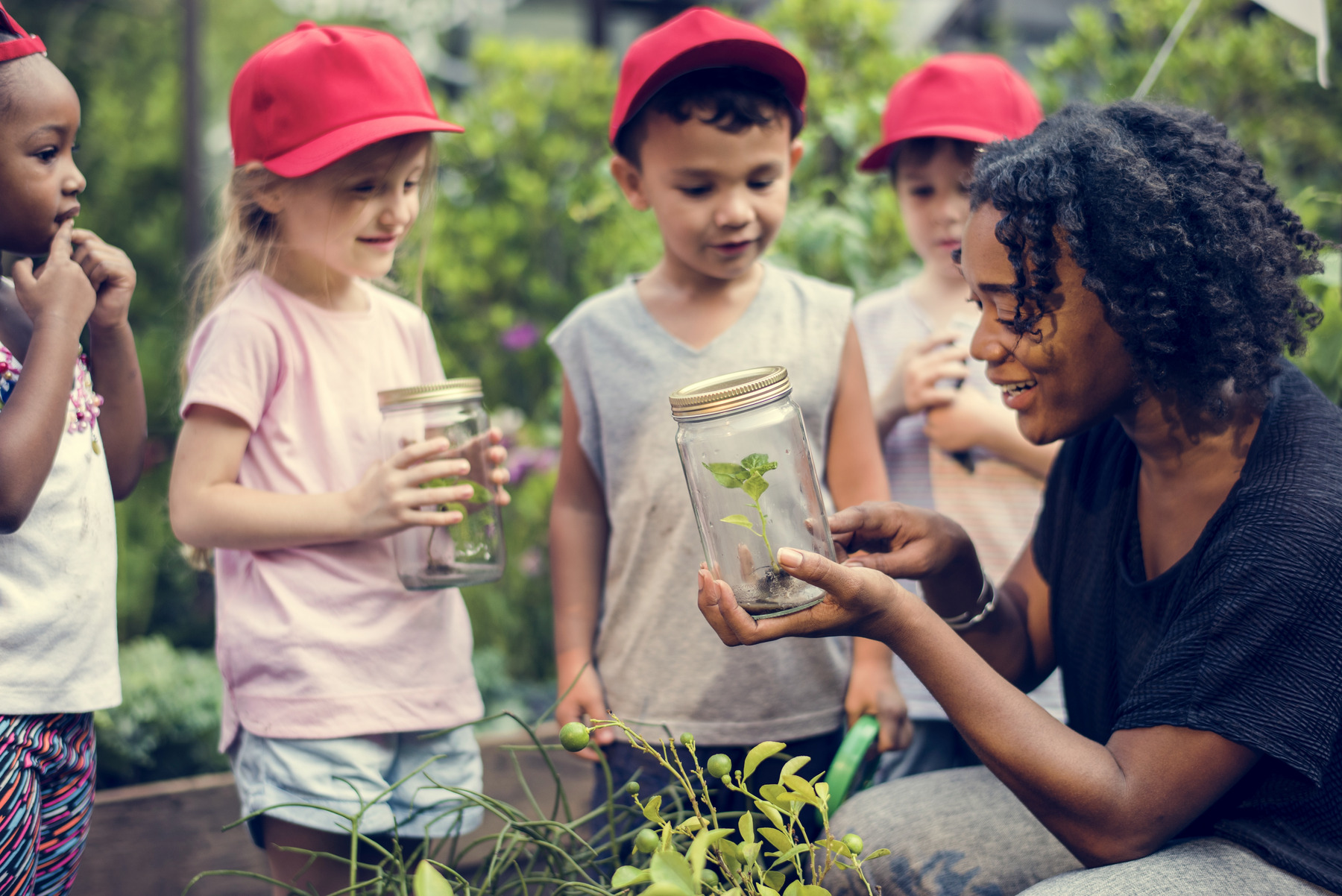 Eine Pädagogin gibt Kindern Anschauungsunterricht mit Pflanzen in einem Wald