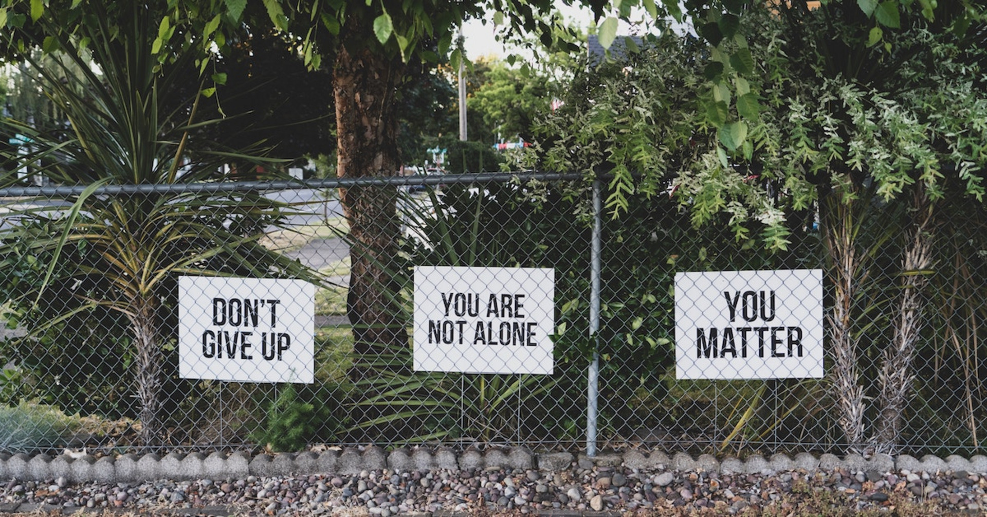 Drei Schilder mit den Sprüchen "Don't give up","You are not alone" und "You matter" vor ein paar Büschen.