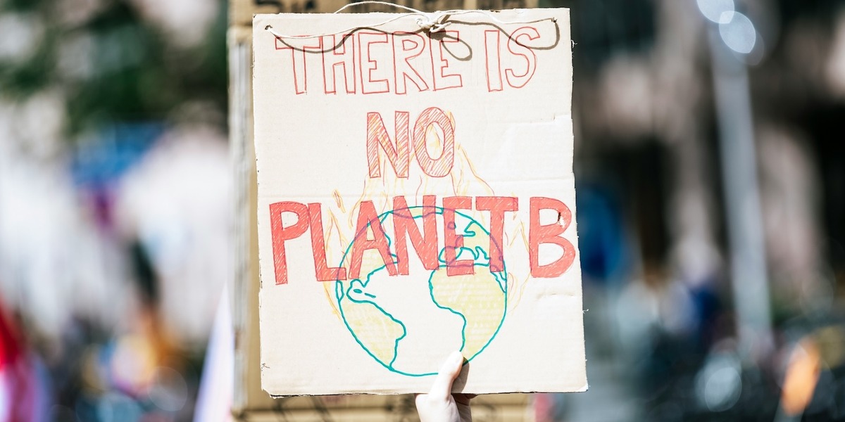 Ein handgemaltes Protestschild mit der Aufschrift "THERE IS NO PLANET B" und einer gezeichneten Weltkugel wird bei einer Demonstration hochgehalten. Im unscharfen Hintergrund sind weitere Menschen und Gebäude zu sehen.