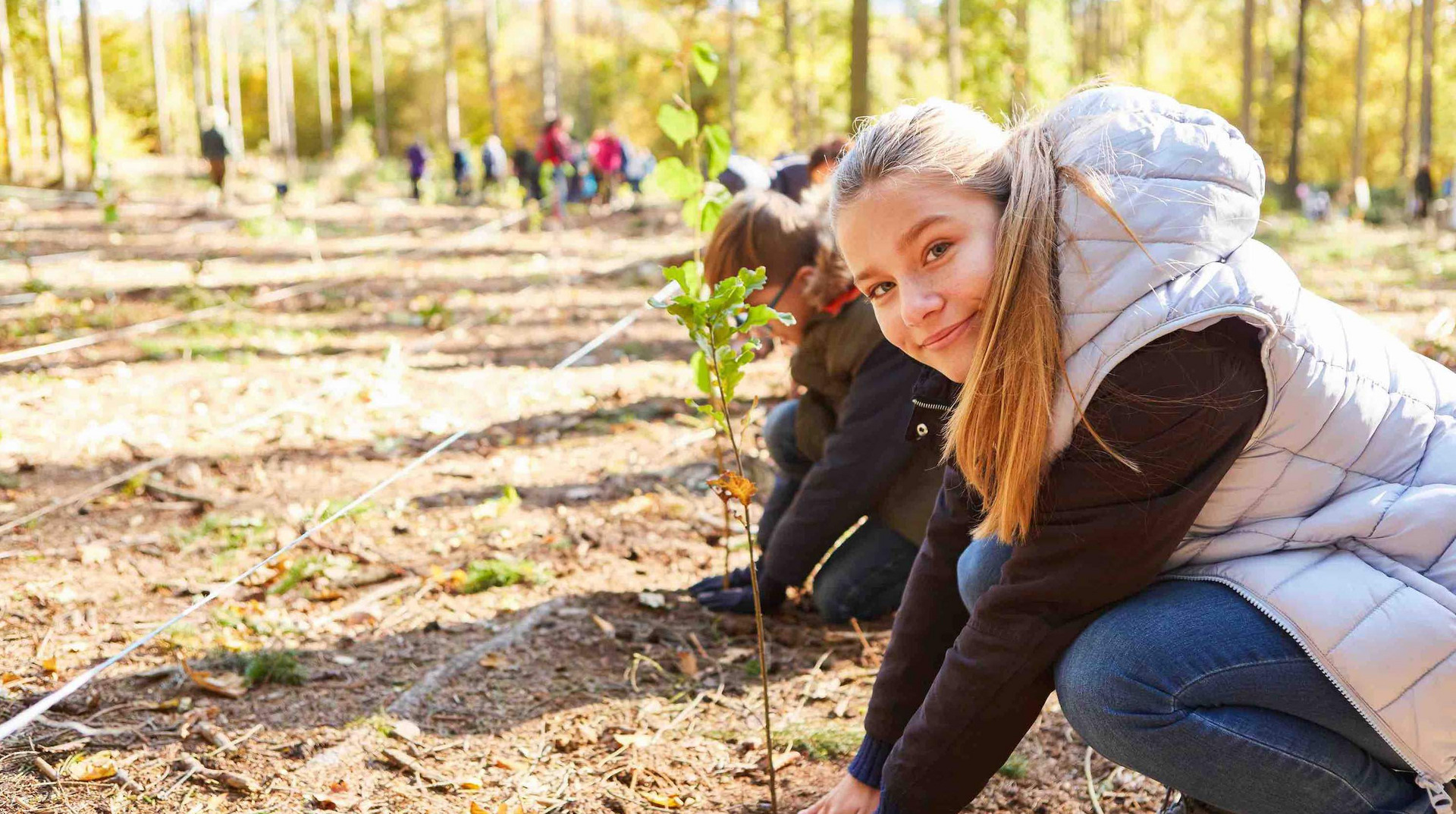 Schulklasse beim Baum pflanzen im Wald für Aufforstung