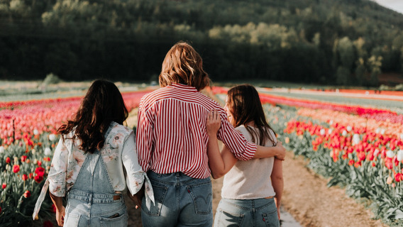 Drei junge Frauen stehen vor einem Tulpenfeld und reden vertieft miteinander.