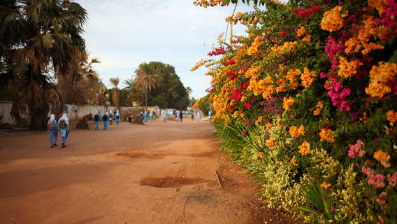Eine unbefestigte Straße in Gambia.
