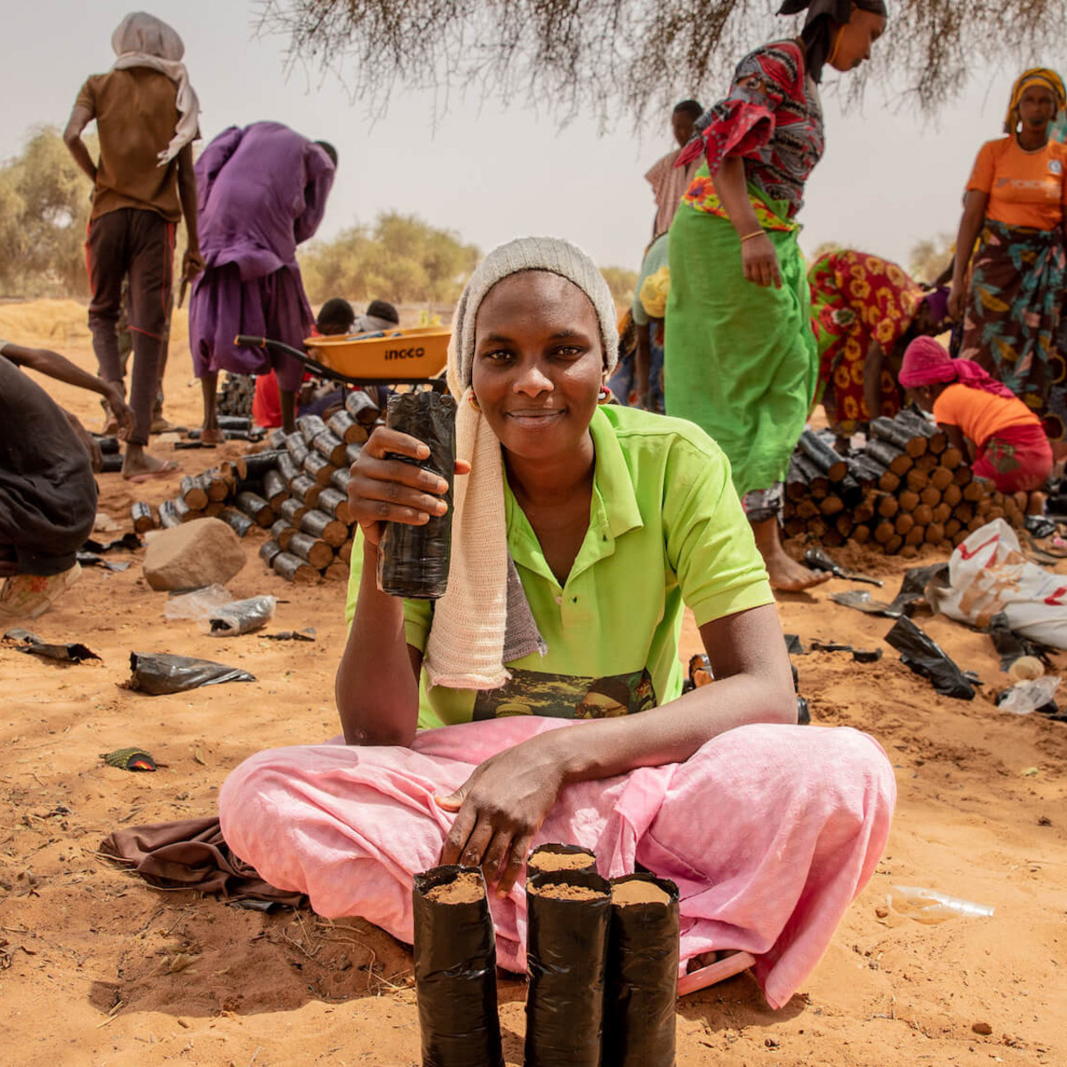 Menschen bei der Arbeit in einer ländlichen Gegend im Senegal. Sie schaufeln Erde und Akaziensetzlinge in kleine schwarze Plastiktüten.