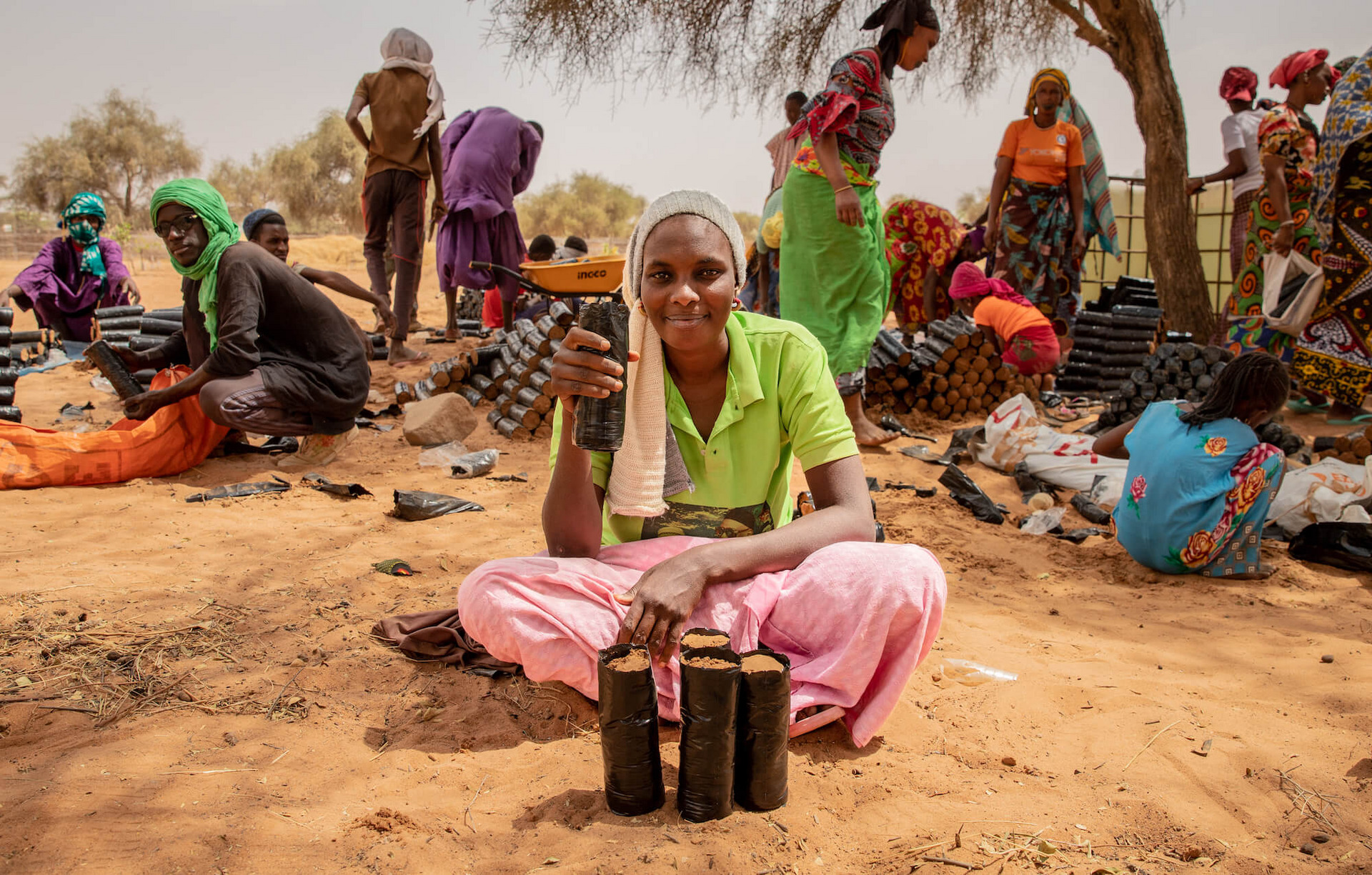 Menschen bei der Arbeit in einer ländlichen Gegend im Senegal. Sie schaufeln Erde und Akaziensetzlinge in kleine schwarze Plastiktüten.