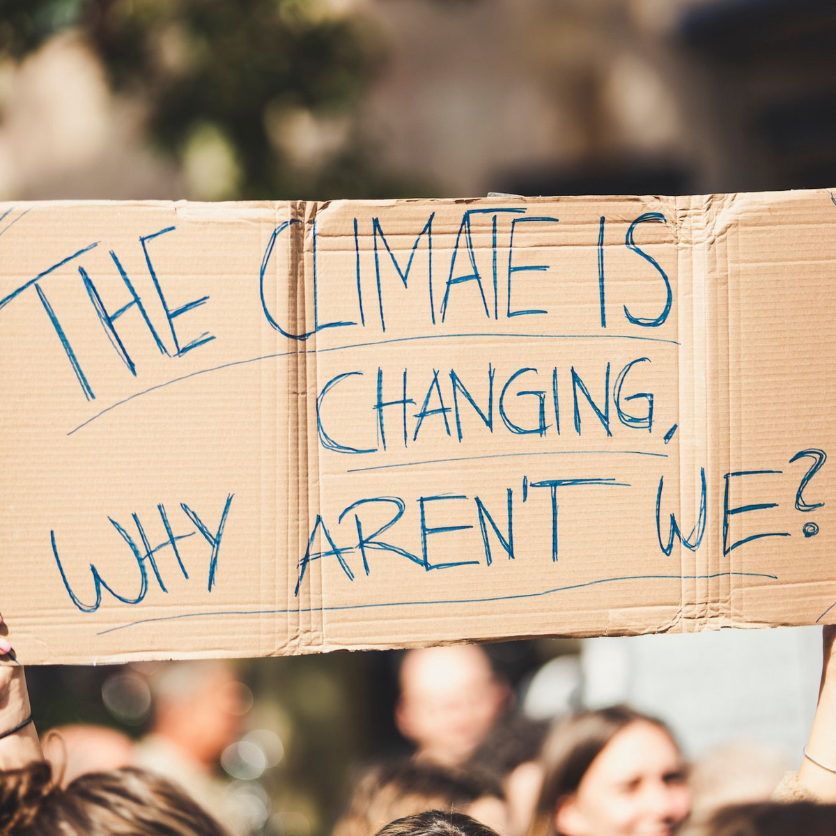 Klimaaktivisten halten ein Plakat hoch: "The climate is changing, why aren't we?"