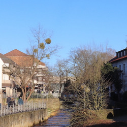 Bad Salzuflen: Zu sehen sind Häuser am Ufer eines kleinen Flusses in dörflicher Idylle