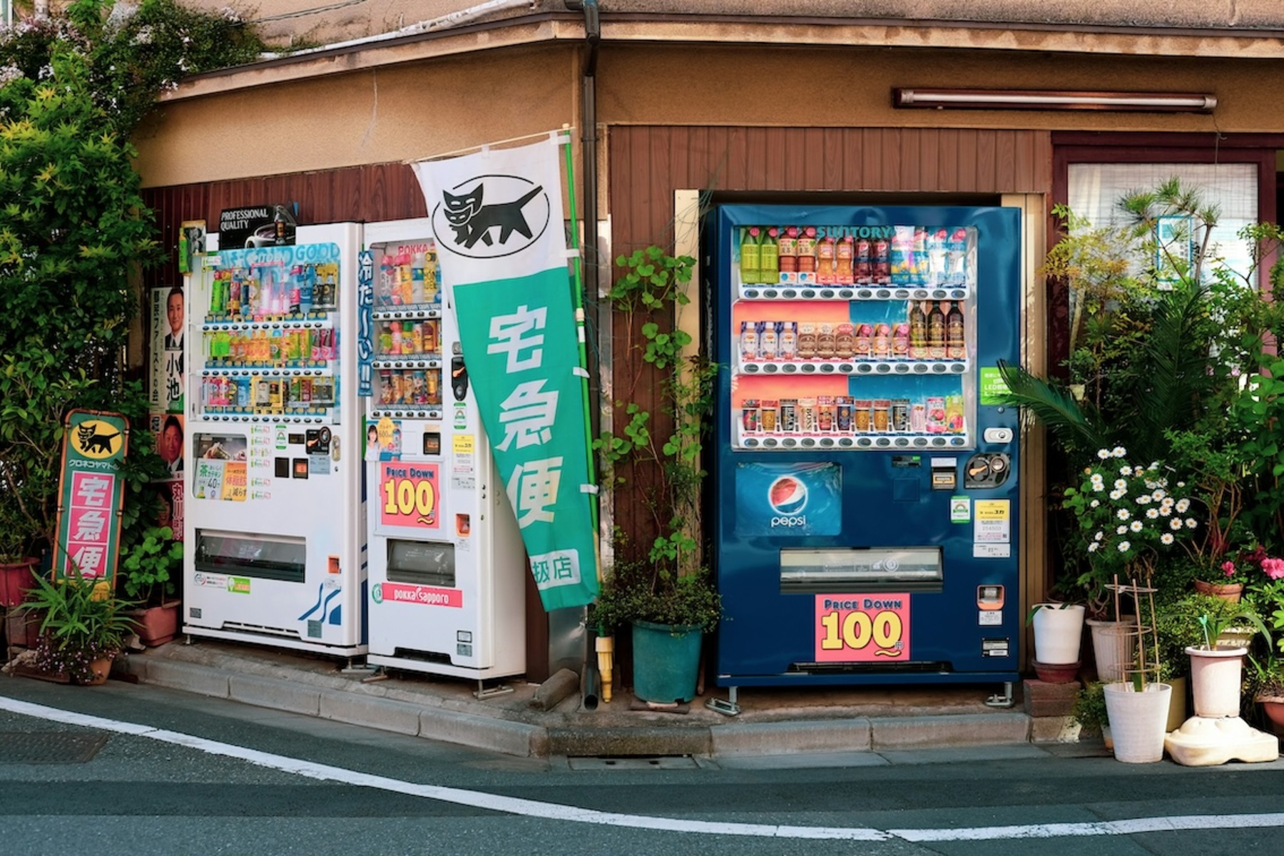 Drei bunte Verkaufsautomaten mit japanischer Beschriftung an einer Häuserecke, umgeben von Topfpflanzen; im Vordergrund ein grünes Werbebanner mit Katzenlogo, im Hintergrund eine ruhige Wohnstraße.