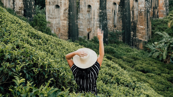 Eine Frau steht in einer Teeplantage auf Sri Lanka