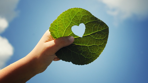 Eine Hand hält ein Blatt, in das ein Herz geschnitten ist, im Hintergrund der Himmel.