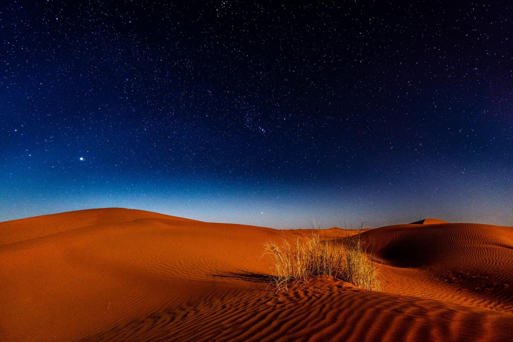Wüste unter dem Sternenhimmel