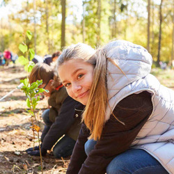 Schulklasse beim Baum pflanzen im Wald für Aufforstung