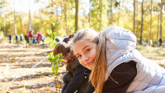 Schulklasse beim Baum pflanzen im Wald für Aufforstung