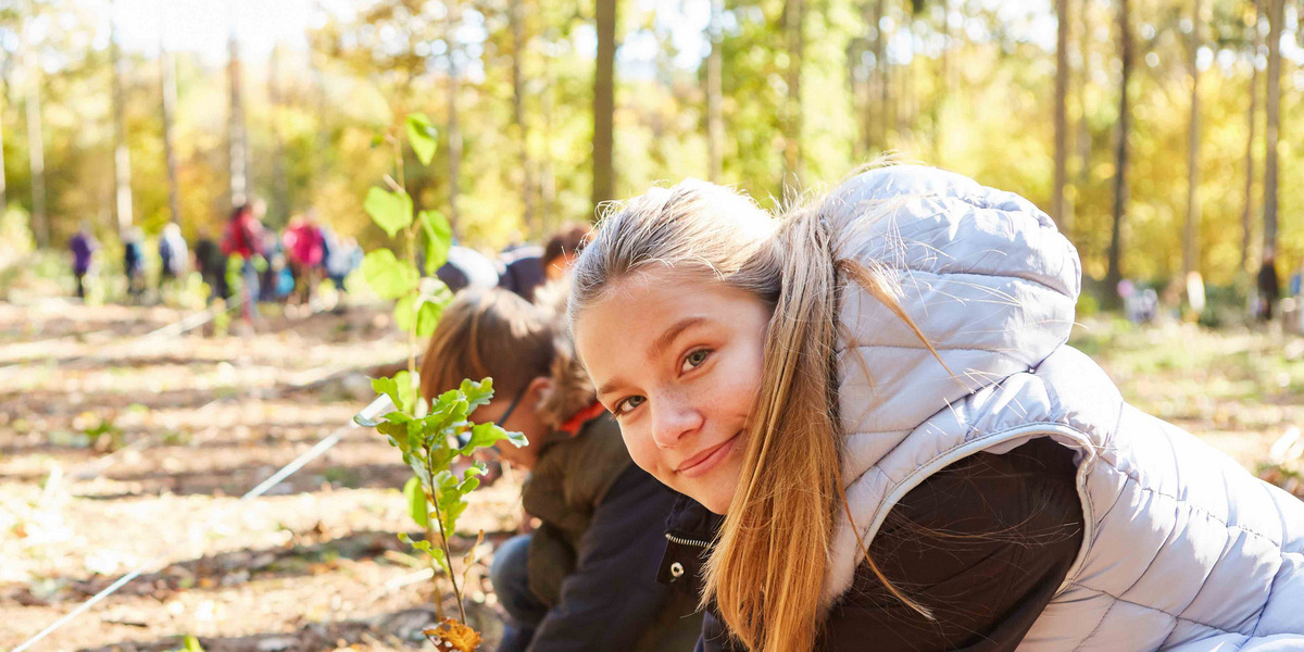 Schulklasse beim Baum pflanzen im Wald für Aufforstung