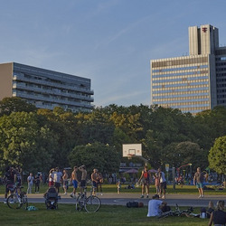 Zu sehen ist ein sommerlicher Park