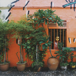 Das Bild zeigt eine farbenfrohe Szene in Melaka, Malaysia. Eine orangefarbene Wand mit künstlerischen schwarzen und weißen Akzenten bildet den Hintergrund. Im Vordergrund stehen mehrere grüne Pflanzen in Töpfen vor der Wand. Ein Fenster mit orangefarbenen Gittern befindet sich in der Mitte des Bildes, dahinter ist eine Figur mit einer goldenen Maske und einem roten Hemd zu sehen. Rechts neben dem Fenster sind zwei Straßenschilder zu erkennen: eines mit dem Wort „Berhenti“ (Malaiisch für „Stopp“), das andere zeigt ein Einfahrverbotsschild. Die gesamte Szene strahlt eine lebendige, urbane Atmosphäre aus.