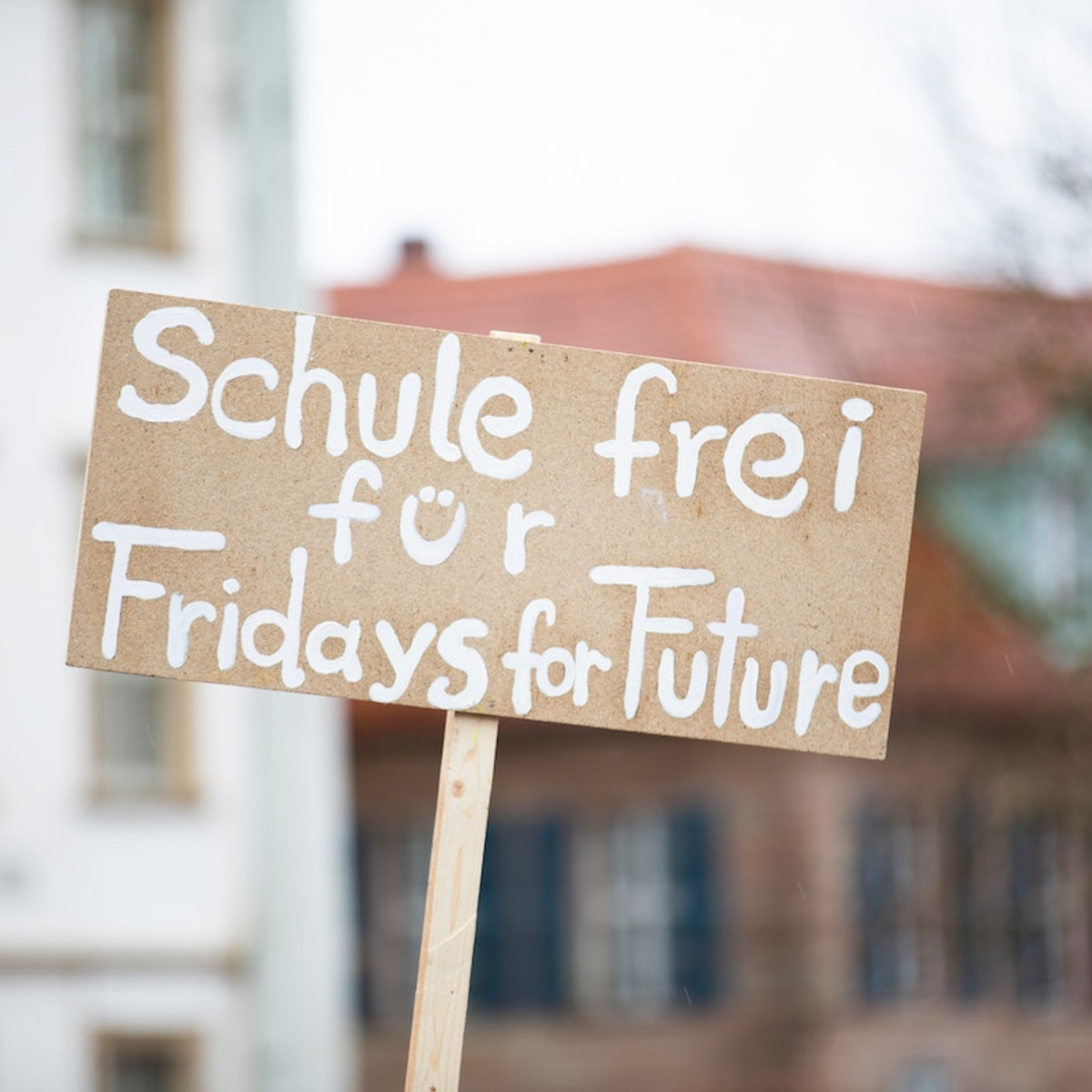 Ein Schild mit dem Text "Schule frei für Fridays for Future"