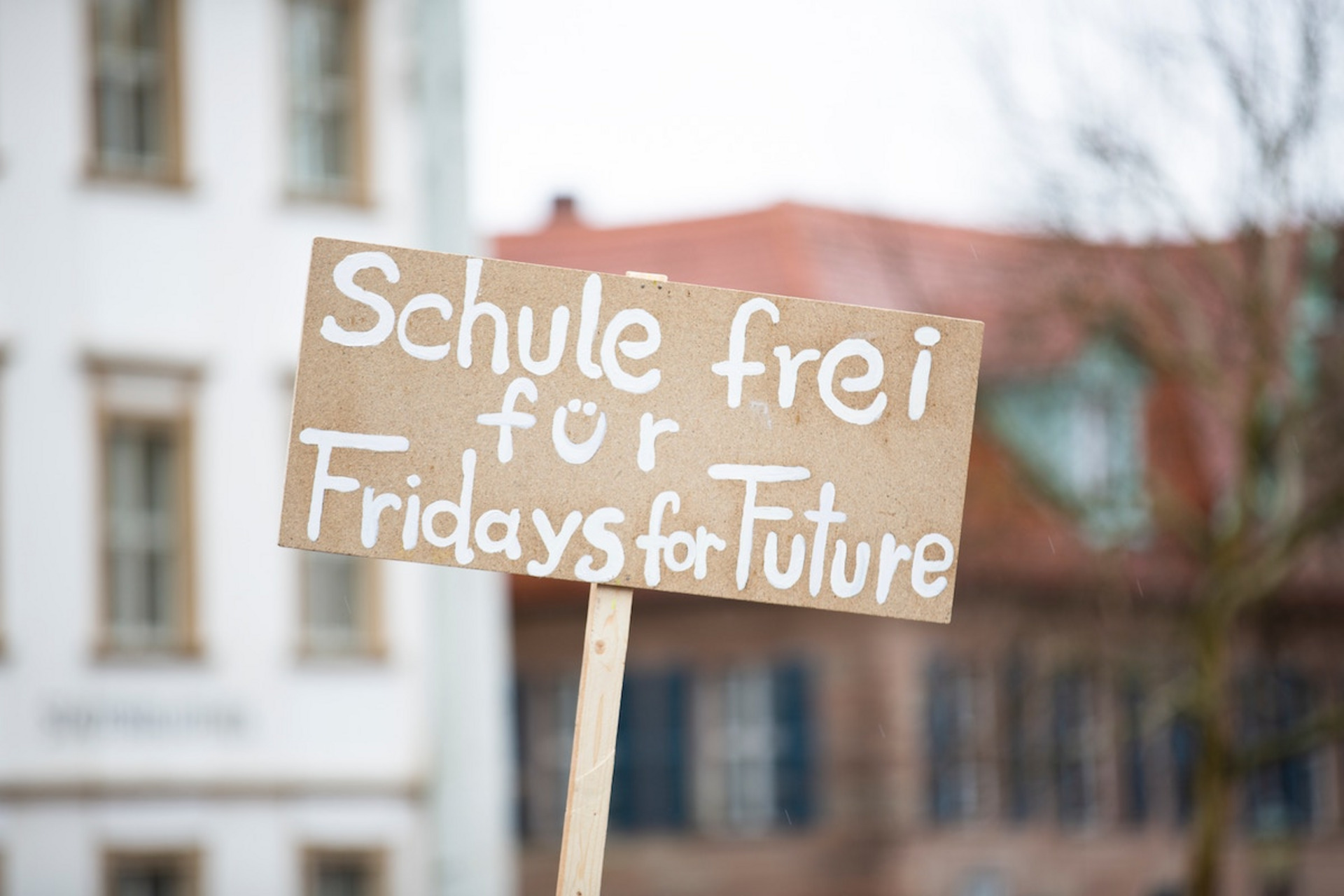Ein Schild mit dem Text "Schule frei für Fridays for Future"