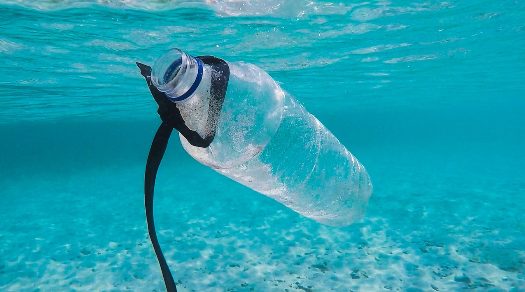 Eine Plastikflasche treibt im Ozean