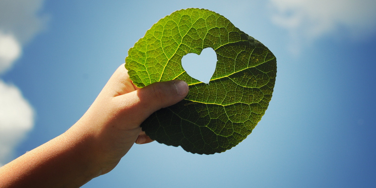 Eine Hand hält ein Blatt, in das ein Herz geschnitten ist, im Hintergrund der Himmel.