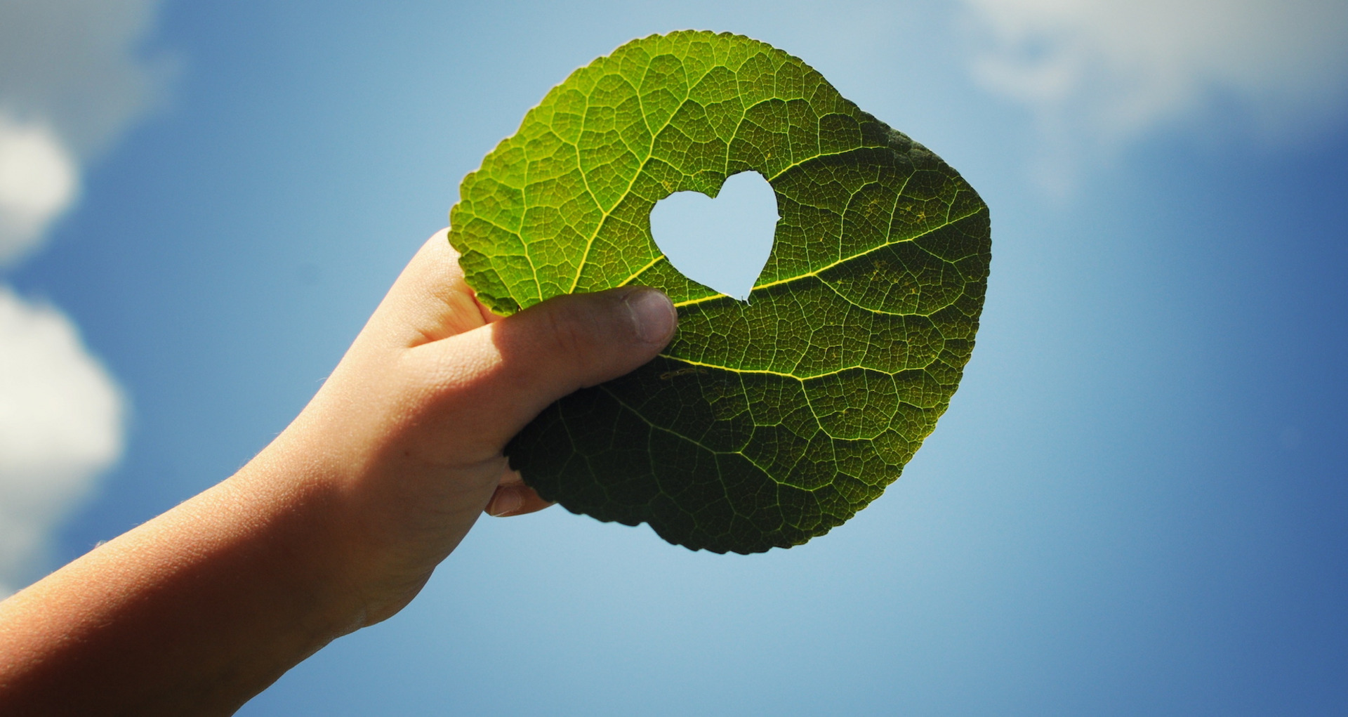 Eine Hand hält ein Blatt, in das ein Herz geschnitten ist, im Hintergrund der Himmel.