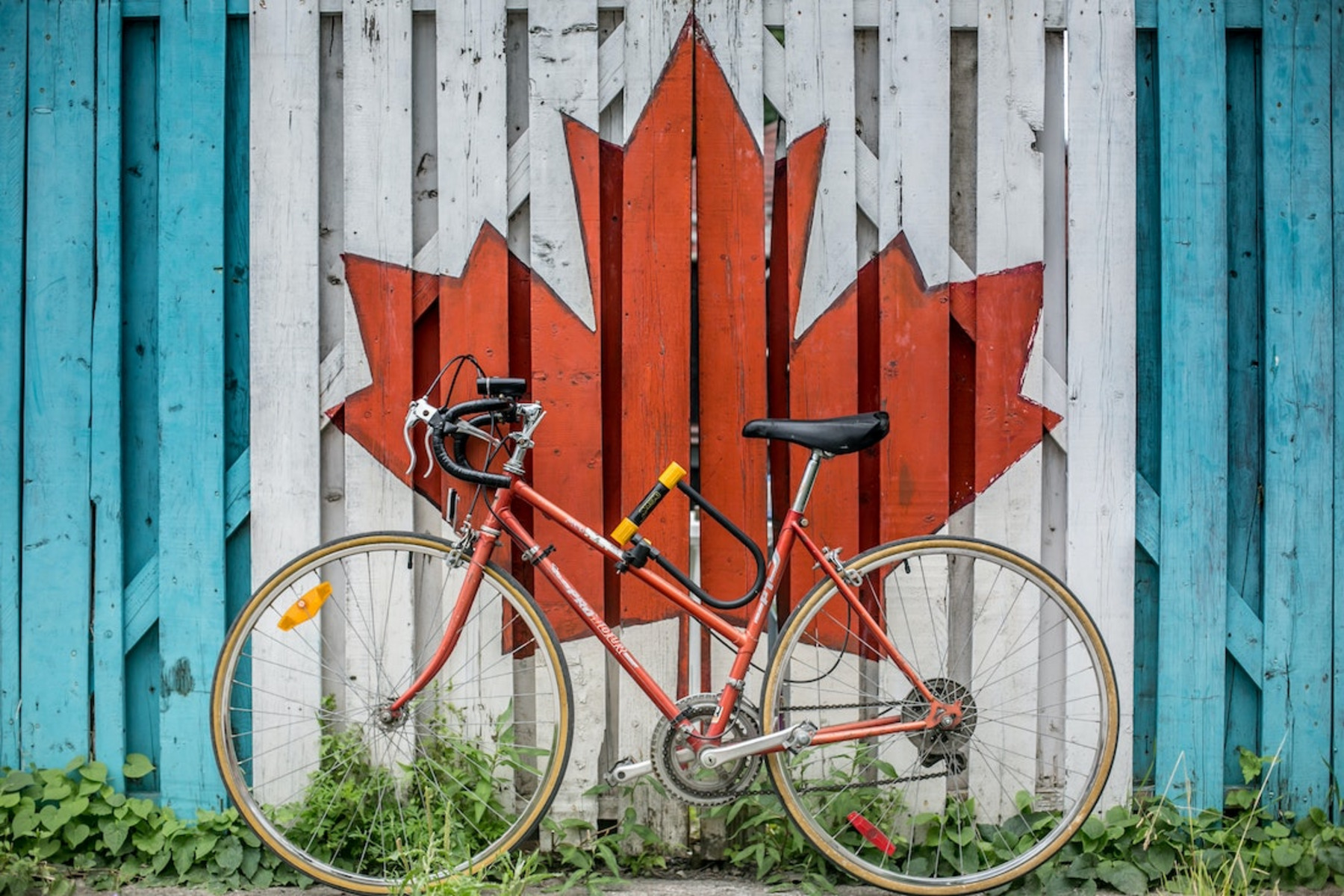 Ein Fahrrad vor einem Lattenzaun mit dem Staatssymbol Kanadas, dem Ahornblatt