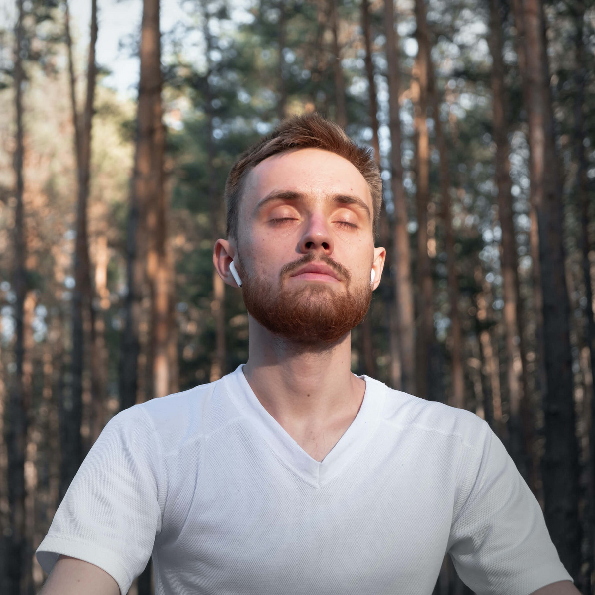 Eine Person sitzt im Wald und meditiert