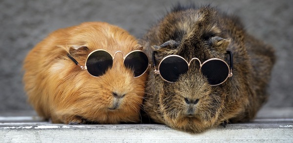 (© otsphoto – stock.adobe.com)