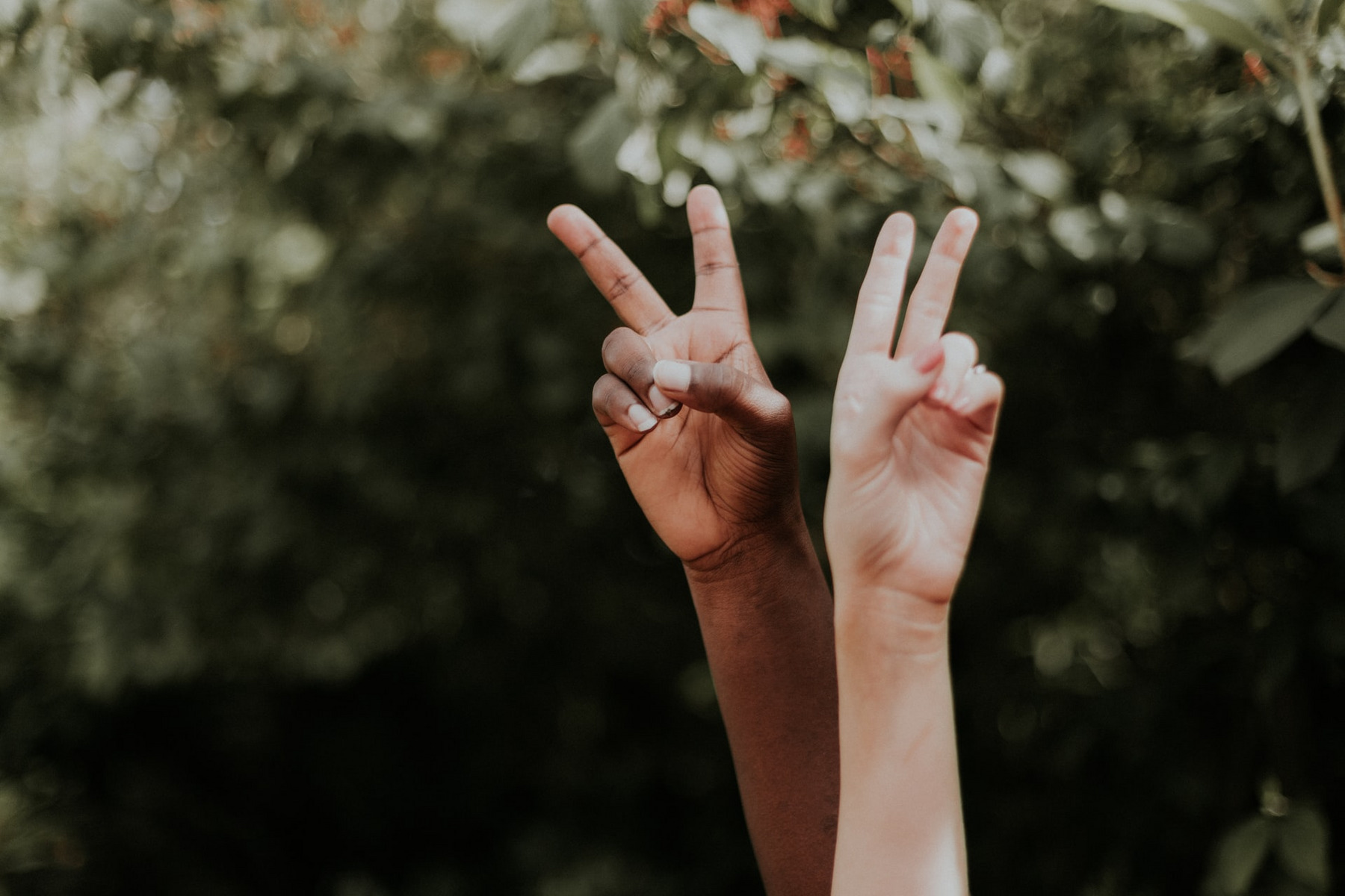 Zwei Hände zeigen das Peace-Zeichen.