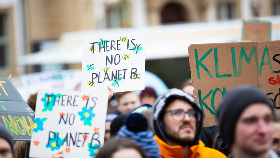 Menschen auf einer Fridays for Future-Demo