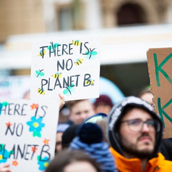 Menschen auf einer Fridays for Future-Demo