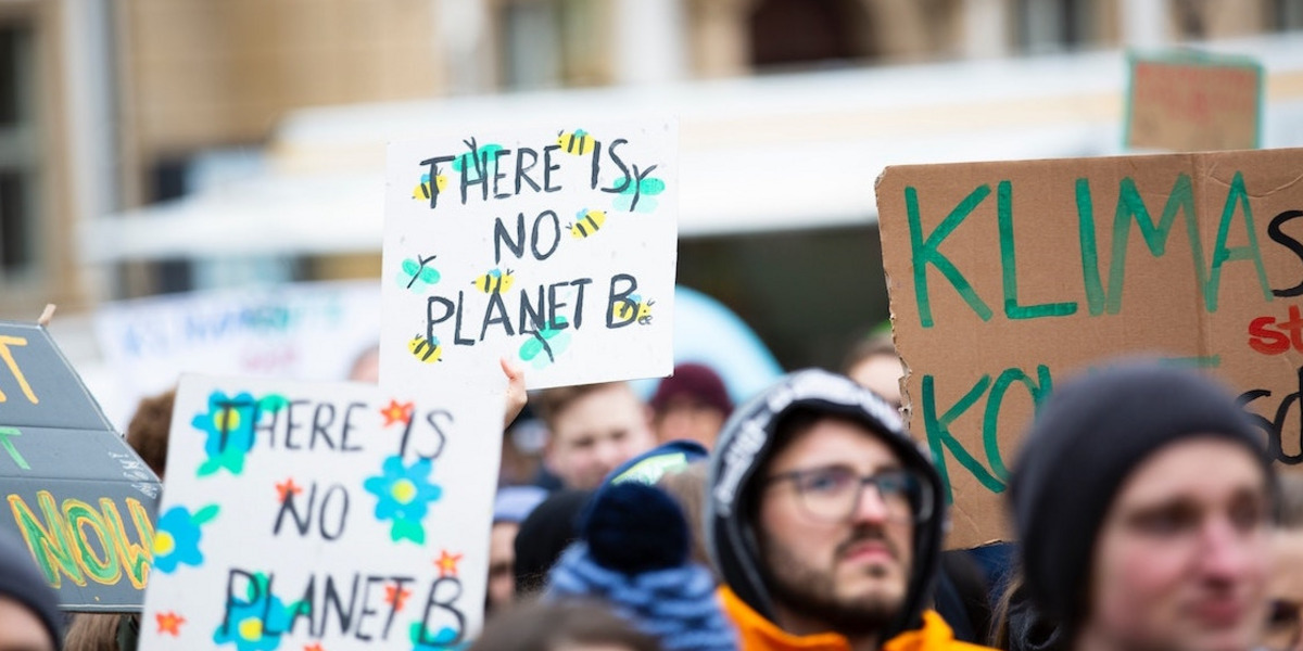 Menschen auf einer Fridays for Future-Demo