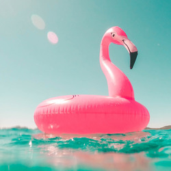 Ein Schwimmring in Form eines Flamingos fließt im Wasser