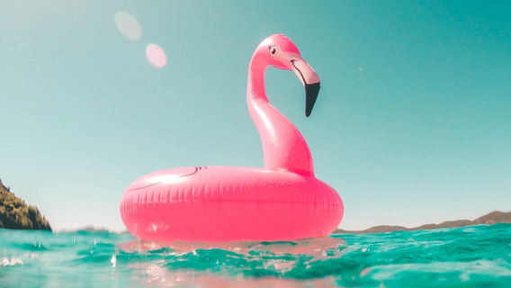 Ein Schwimmring in Form eines Flamingos fließt im Wasser