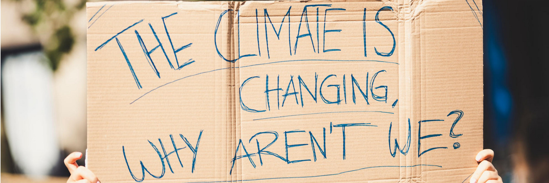 Auf einem Protest hält eine Person ein Schild in die Höhe, auf dem steht: „The climate is changing, why aren’t we?“ (deutsch: „Das Klima ändert sich, warum ändern wir uns nicht?“)