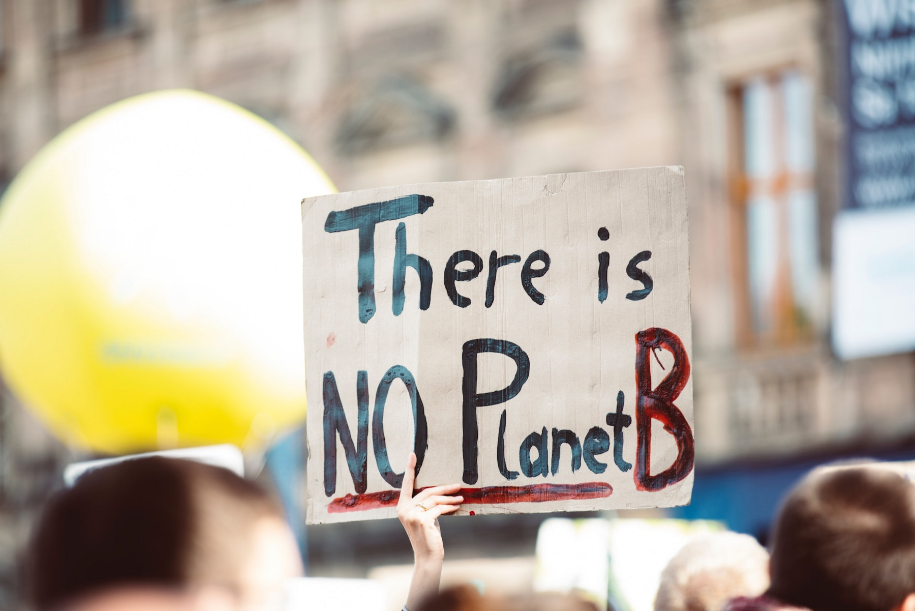Ein Pappschild mit der Aufschrift "There is no Planet B"