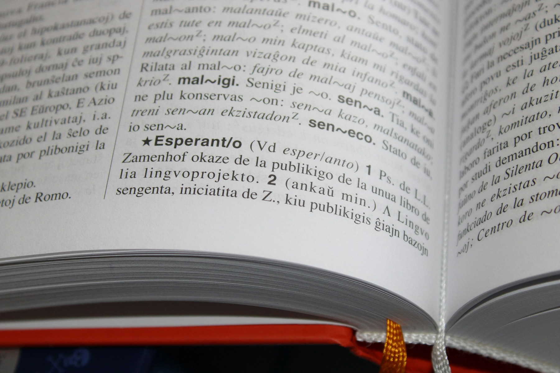 Ein Esperanto-Wörterbuch mit aufgeschlagenem Lemma „Esperanto“