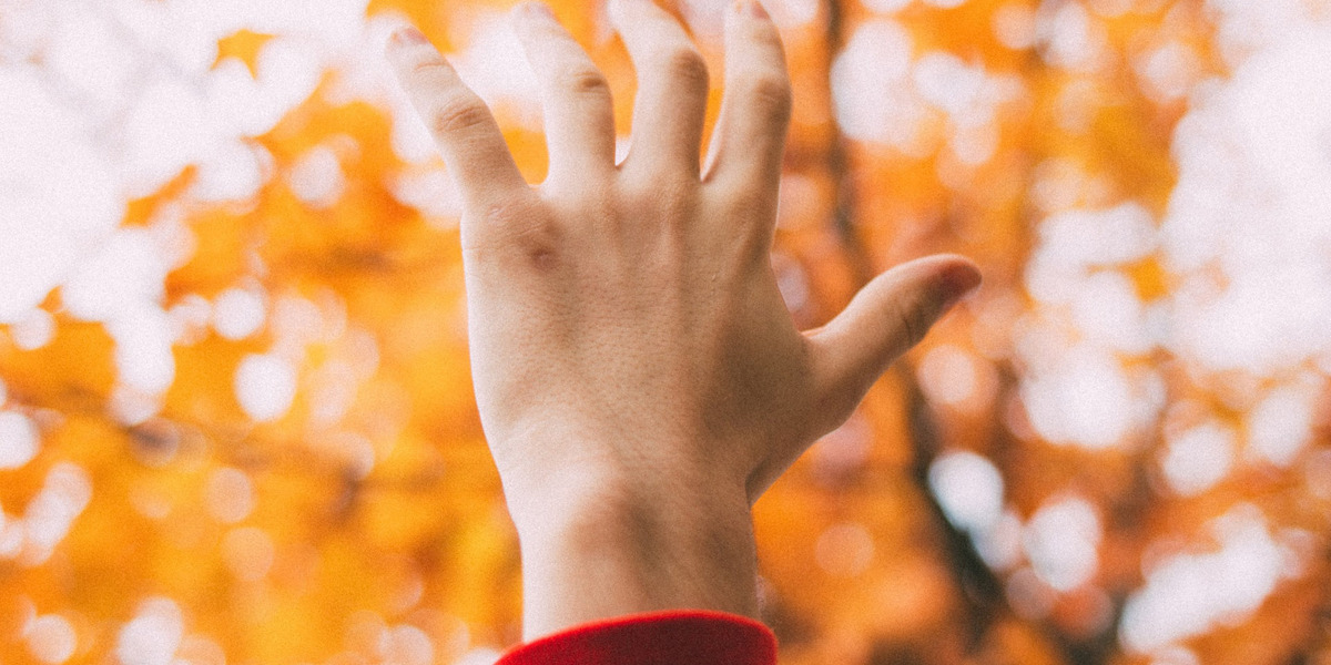 Hoffnungsvoll ausgestreckte Hand im Herbstwald