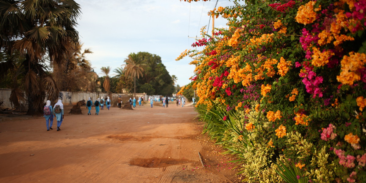 Eine unbefestigte Straße in Gambia.