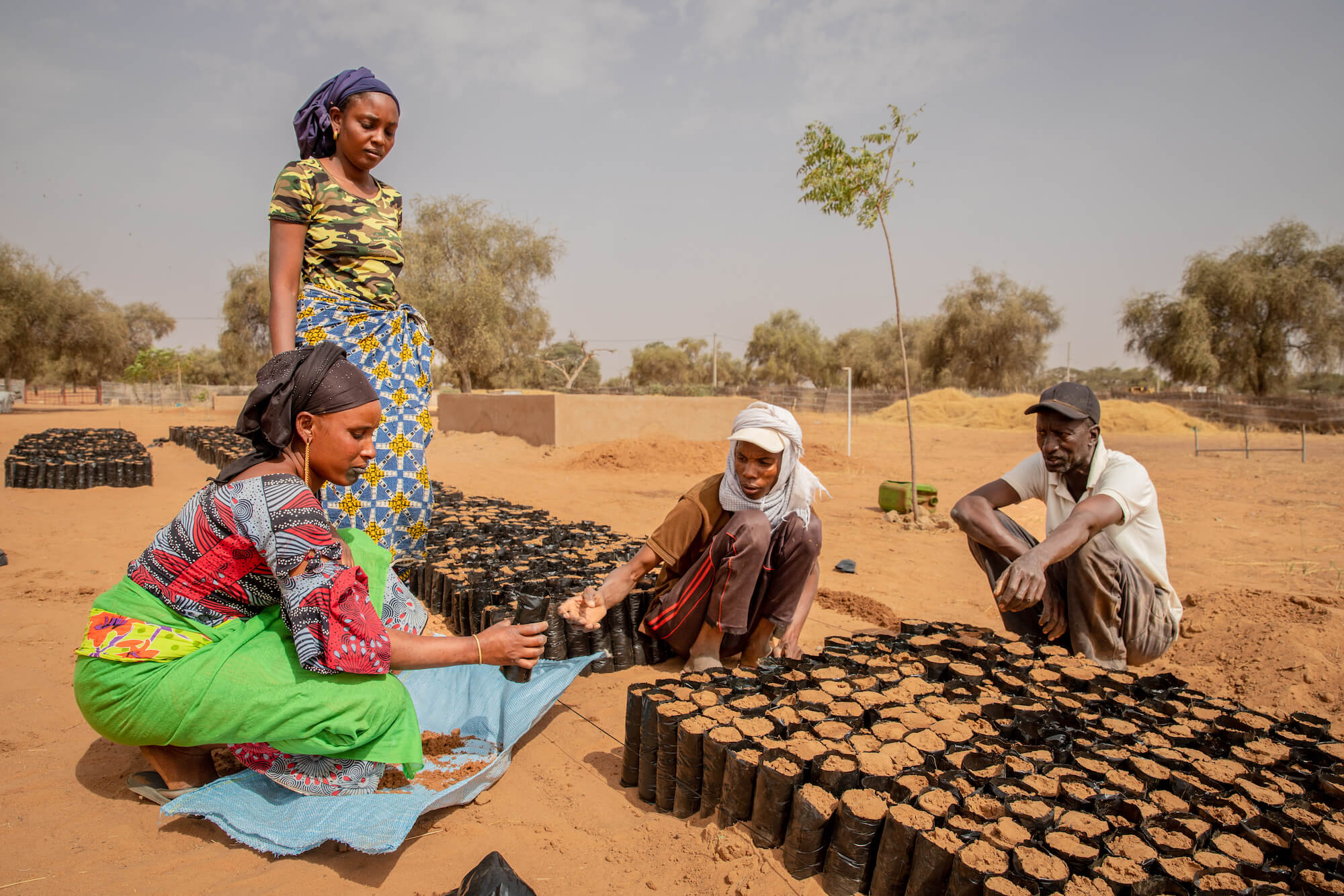 Zwei senegalesische Frauen und zwei Männer bei der Arbeit in einer ländlichen Gegend