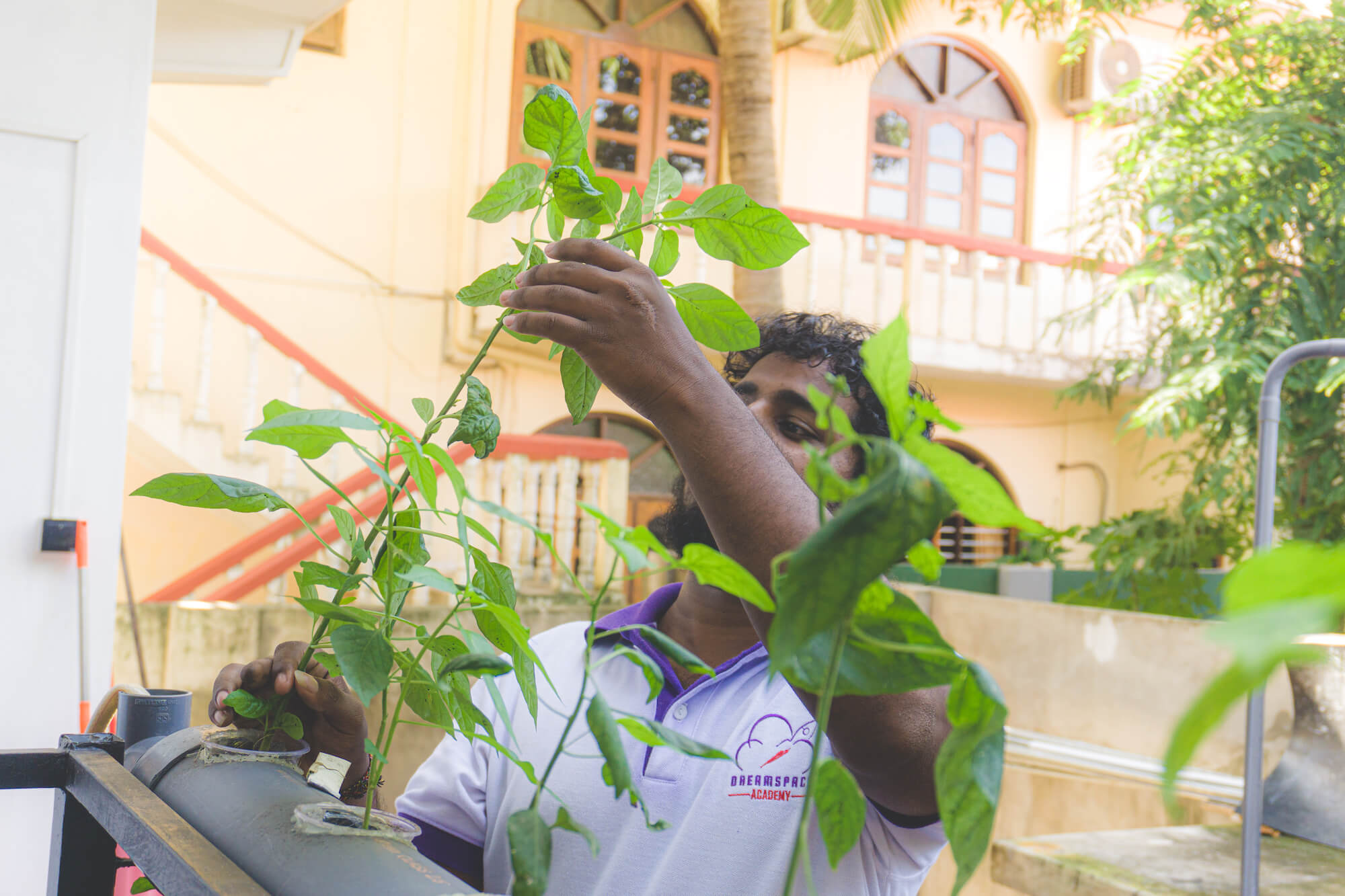 DreamSpace Academy Sri Lanka